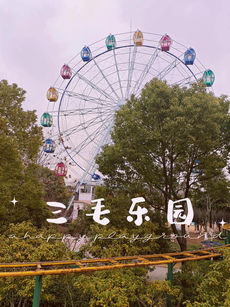 三毛儿童生活馆：让孩子与梦想同行的幸福起点